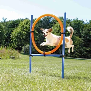 AGILITY kruh preskakovací
