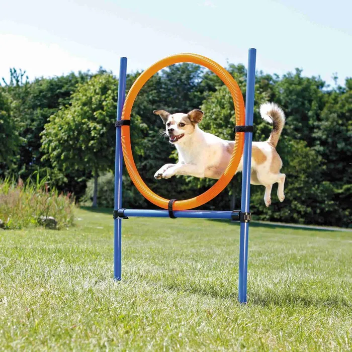 Hlavný obrázok produktu AGILITY kruh proskakovací