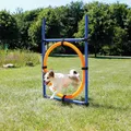 Ďalší obrázok produktu AGILITY kruh preskakovací