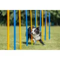 Ďalší obrázok produktu AGILITY Slalom, tyče 12ks