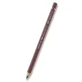 Akvarelová pastelka Faber-Castell Albrecht Dürer - hnedé a metalická odtiene 169