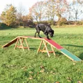 Ďalší obrázok produktu Dog Activity AGILITY tréningová lávka 456x64x30 cm