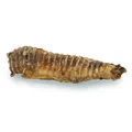 Ďalší obrázok produktu KIDDOG 100% Natural Snack, hovädzia trachea 12-13 cm / 100 g