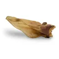 Ďalší obrázok produktu KIDDOG 100% Natural Snack, hovädzie ucho - Jumbo XXL 20 - 28 cm / 1 ks voľne