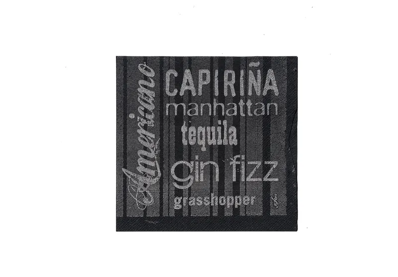 Hlavný obrázok produktu Koktejlové ubrousky Infibra Drink 2vrstvé 25 × 25 cm černé s bílým potiskem [100 ks]