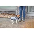 Ďalší obrázok produktu Obleček PONTIS - vesta s postrojom, striebrošedá XS: 30cm, hruď: 44-48cm, krk: 34cm
