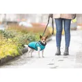 Ďalší obrázok produktu Obleček PONTIS - vesta s postrojom, tyrkysová XXS: 24cm, hruď: 40-44cm, krk: 30cm