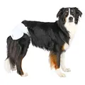 Ďalší obrázok produktu Papierové plienky pre sučky (12 ks/bal.) M: 32-48 cm