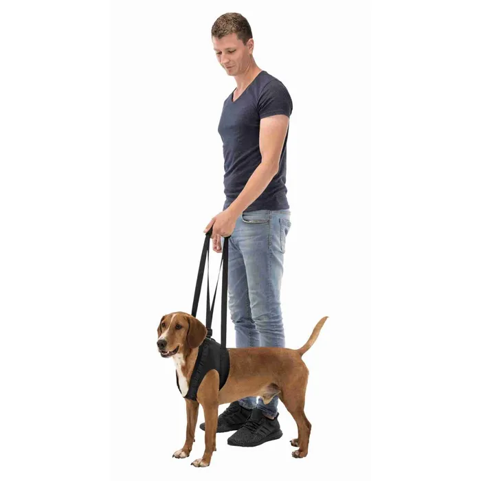 Hlavný obrázok produktu Podpůrná pomůcka k chůzi L 65-75 cm černá