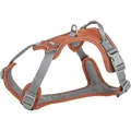 Postroj PREMIUM ACTIVE, rezavá XS-S: 30-40 cm / 15 mm