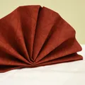 Ďalší obrázok produktu Obrúsky PREMIUM 40x40cm "dekor R" terakota [50 ks]